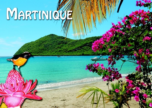 [63500] CP 12x17 MQ 3D PLAGE/Sucrier M3D10