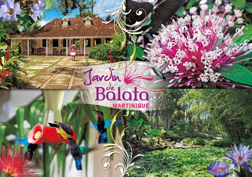 [63510] CP 10X15 JDB MJB002