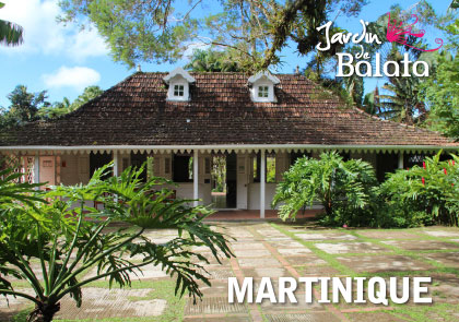 [63520] CP 10X15 JDB - Maison De BalataMJB023
