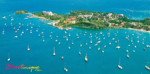 [63526] CP 10X21 MQ MP06