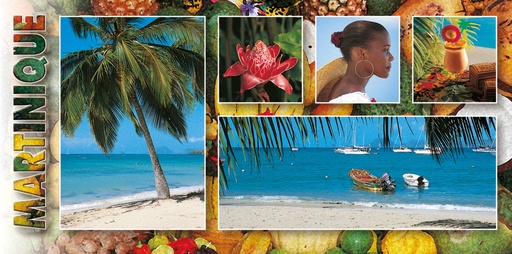 [63529] CP 10X21 MQ MP22