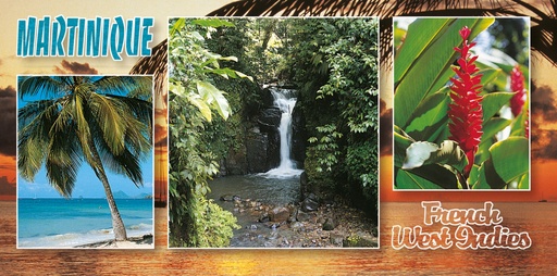 [63530] CP 10X21 MQ MP27