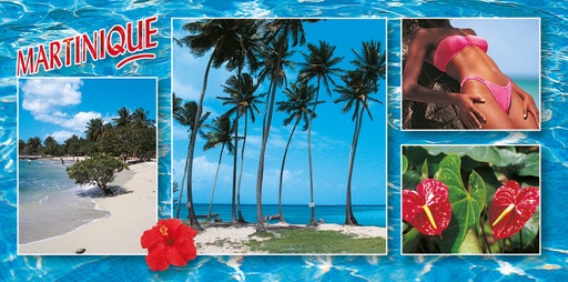 [63531] CP 10X21 MQ MP29