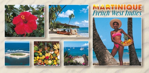 [63532] CP 10X21 MQ MP30