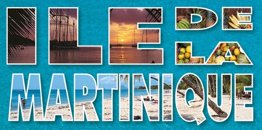 [63533] CP 10X21 MQ MP31