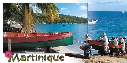 [63534] CP 10X21 MQ MP36