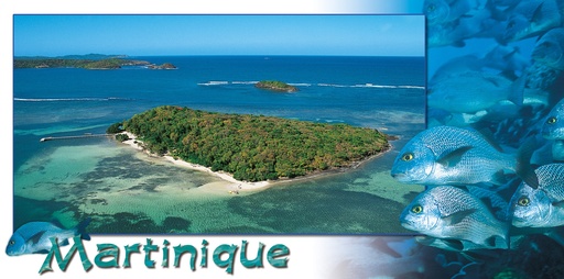 [63535] CP 10X21 MQ MP39