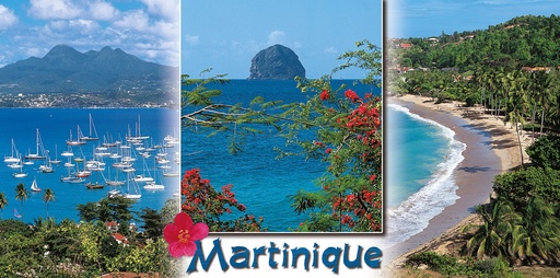 [63536] CP 10X21 MQ MP41