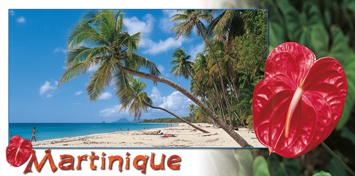 [63537] CP 10X21 MQ MP42