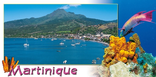 [63538] CP 10X21 MQ MP46