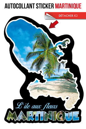 [63557] Cp Stick MQ Carte Photo Inscrut E Martinique 004