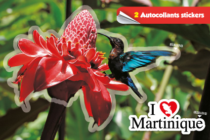 [63558] Cp Stick MQ Rose+Colibri Martinique MQ006