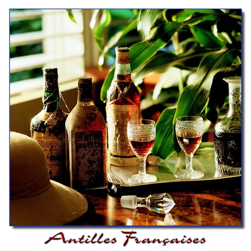 [63570] CP 13X13 Antilles 131308