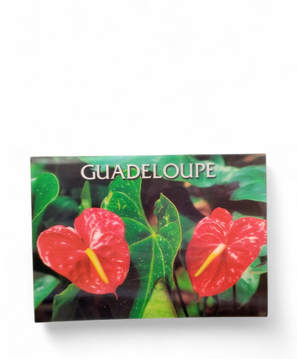 [64285] CP 12 X 17 GP 3D Anthurium G3D07