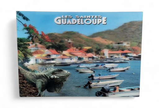 [64286] CP 12 X 17 GP 3D Les Saintes G3D09