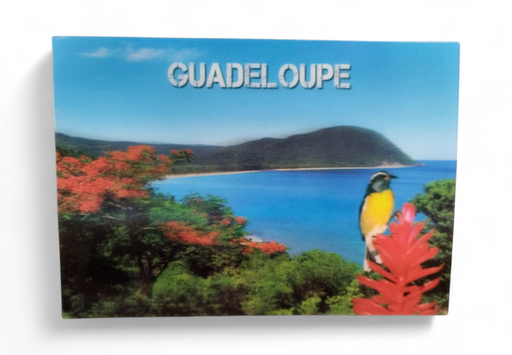 [64289] CP 12 X 17 GP 3D Grande Anse G3D12