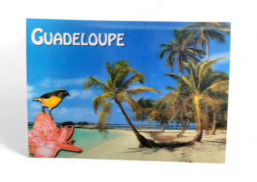 [64292] CP 12 X 17 GP 3D PLAGE de ste-Anne G3D15