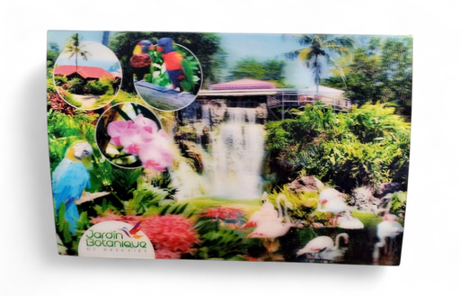 [64297] Carte postale 3D - JBDDESHAIES CP3D01