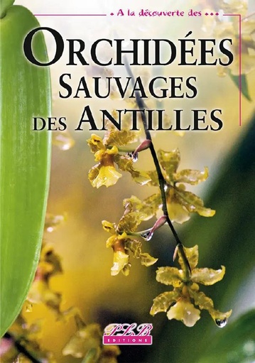 [66006] Orchidees Sauvages Des Antilles