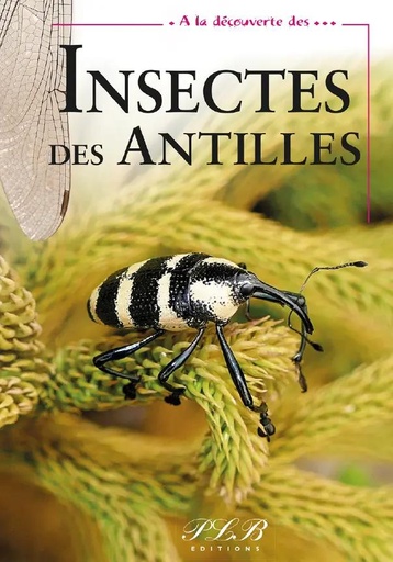 [66034] Insectes Des Antilles