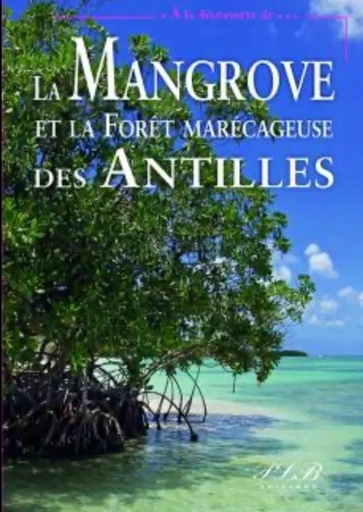 [66040] La Mangrove Et La Foret Marecageuse
