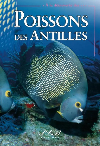 [66058] Poissons Des Antilles