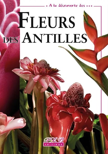 [66080] Fleurs Des Antilles Carton 15X15 72P  8