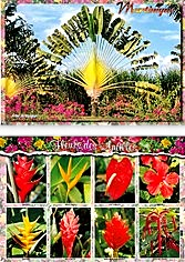 [67003] Set de Table MQ M029