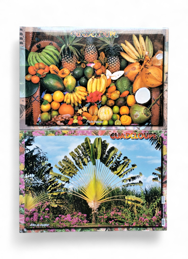 [68003] Set de Table GP Fruits / Arbre Du Voyageur STG27