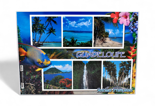 [68012] Set de Table GP Plage Cocotiers / Poisson + 6 Photos STG42