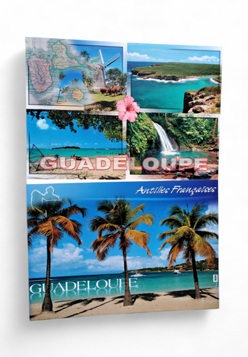 [68017] Set de Table GP Plage + Cocotiers / 4 Photos STG47