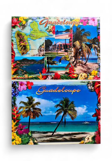 [68020] Set de Table GP Plage Cocotier Bateau / Carte + 5 Photos STG50