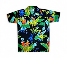 [72003] Chemise Hawaï Ado Rima