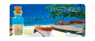 [15180] Magnet Epoxy Rectangle Avec Bouteille Yole MQ