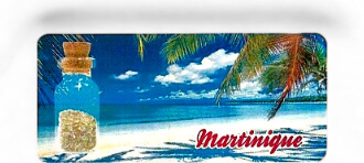 [15183] Magnet Epoxy Rectangle Avec Bouteille Saline MQ