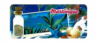 [15185] Magnet Epoxy Rectangle Avec Bouteille Multivue Diamant MQ