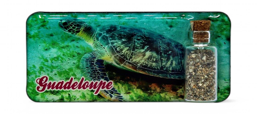 [15189] Magnet Epoxy Rectangle Avec Bouteille Tortue De Mer
