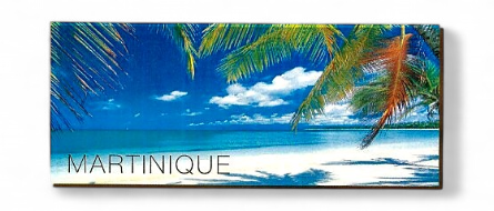 [15205] Magnet Bois Long Plage Des Salines MQ