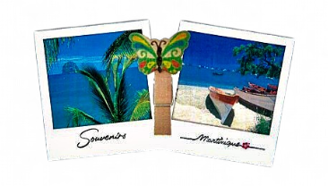 [15213] Magnet Bois 2 Photo Pince Diamant + Yoles MQ