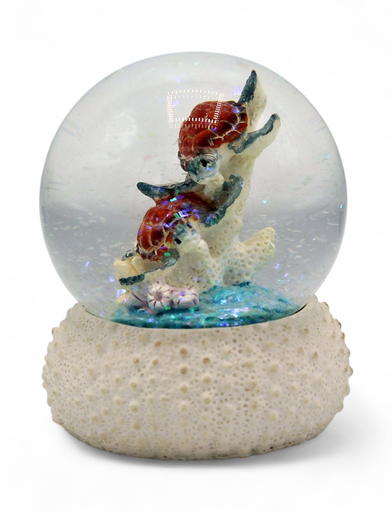 [44031] Boule de Neige Tortue sur oursin