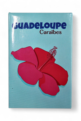 [15245] Magnet Image Hibiscus