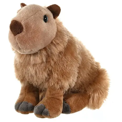 [53301] CK CAPYBARA