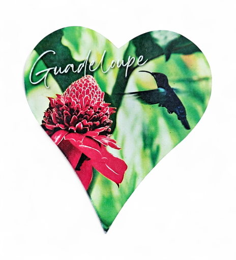 [15346] Magnet MDF Cœur - Rose de Porcelaine et Colibri