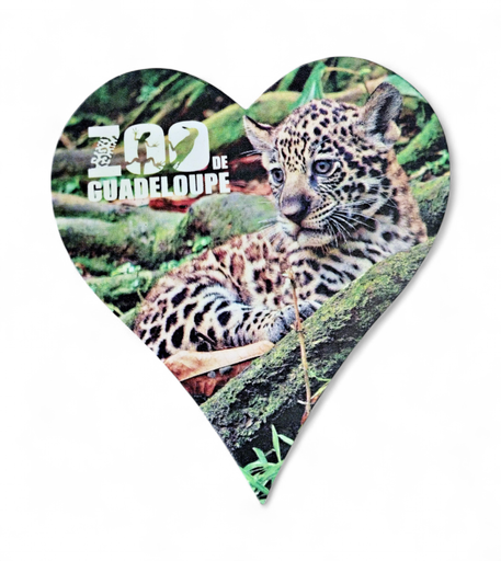 [15347] Magnet MDF Cœur - Bébé Jaguar  ZDG