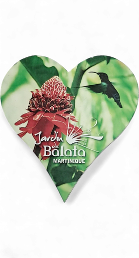 [15360] Magnet MDF Cœur -  Rose de Porcelaine et Colibri  JDB