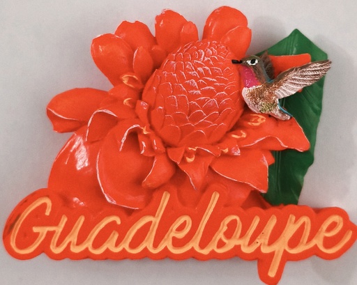 [15365] Magnet Résine - Rose de porcelaine et Colibri Version 2