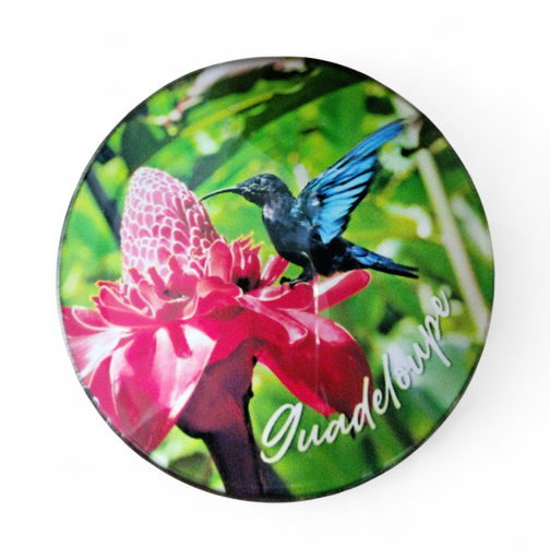 [15382] Magnet Verre - Colibri et Rose de porcelaine