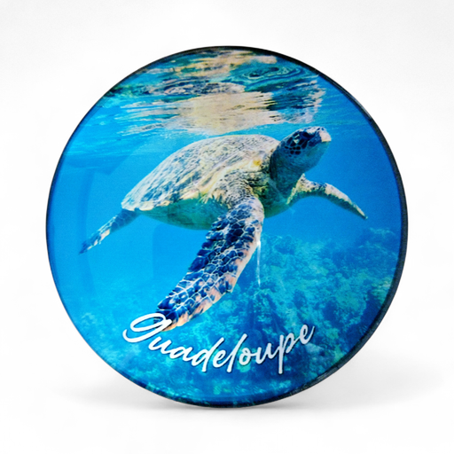[15383] Magnet Verre - Tortue de mer