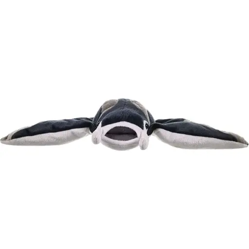 [53309] CK Manta Ray