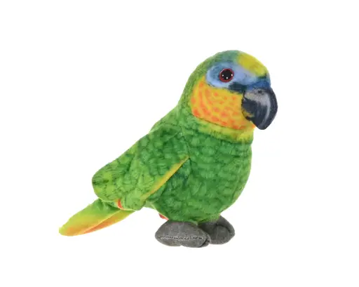 [53321] Rainforest orange winged Parrot